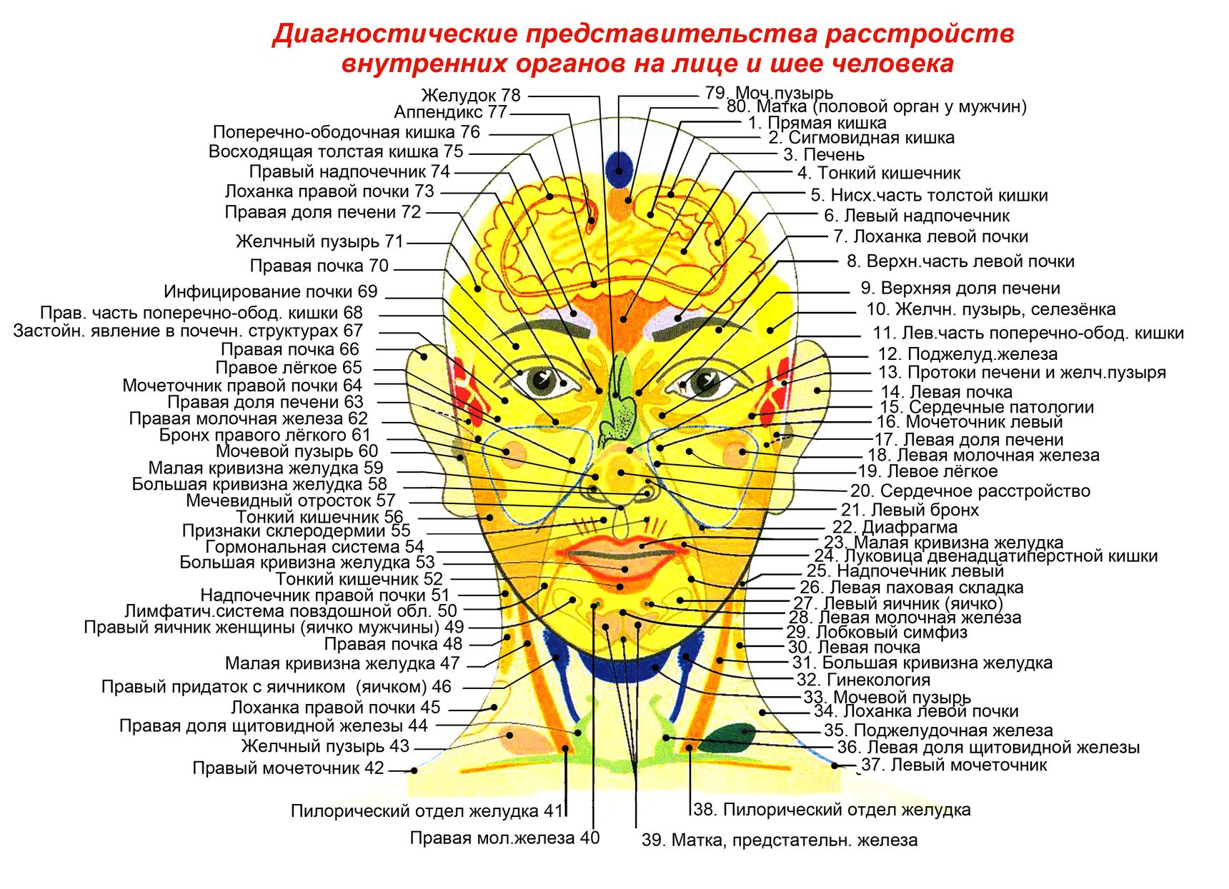 https://olgakulakovich.files.wordpress.com/2013/10/i1ts6.jpg